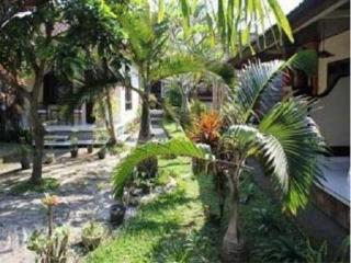 Detri Hotel *